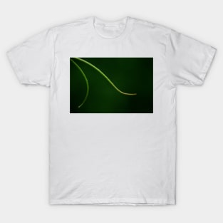 Tendrils  ~ going for a walk T-Shirt